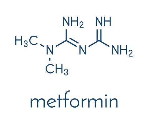 Metformin: The Most Popular Biguanide Explained.